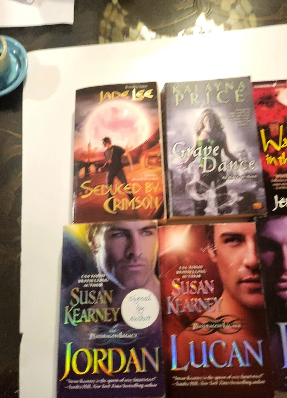 Paranormal / Vampire Bundle lot of 10 by Sysan Kearney, Lynn Viehl & More